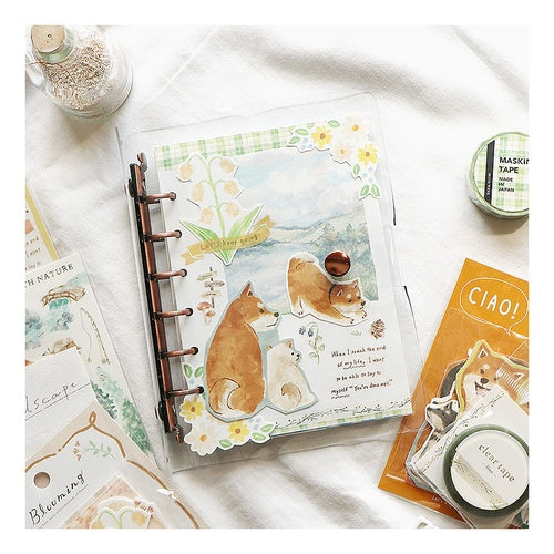 A6ｸﾘｱﾊﾞｲﾝﾀﾞ-/ﾌﾞﾗｳﾝ --- MIND WAVE :4909001579880